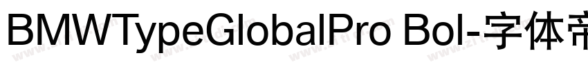 BMWTypeGlobalPro Bol字体转换